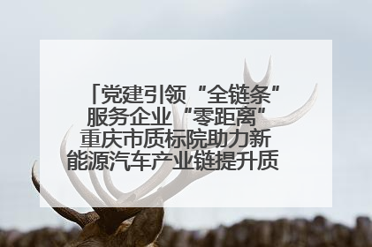党建引领“全链条” 服务企业“零距离” 重庆市质标院助力新能源汽车产业链提升质量管理水平