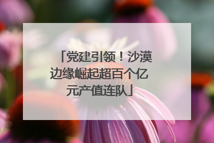 党建引领！沙漠边缘崛起超百个亿元产值连队