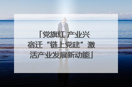党旗红 产业兴 宿迁“链上党建”激活产业发展新动能