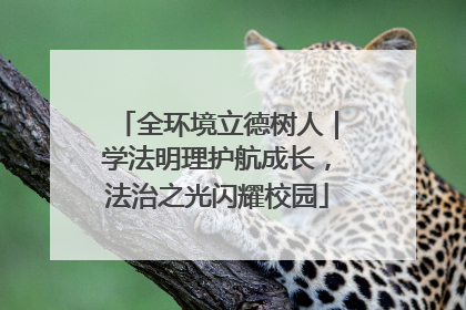 全环境立德树人｜学法明理护航成长，法治之光闪耀校园