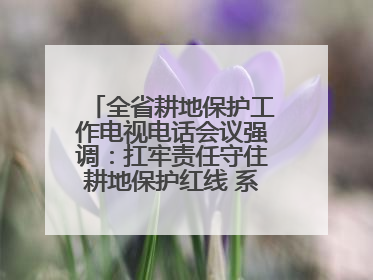全省耕地保护工作电视电话会议强调：扛牢责任守住耕地保护红线 系统施治夯实粮食安全根基 王宁作出批示 王予波出席并讲话