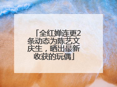 全红婵连更2条动态为陈艺文庆生，晒出最新收获的玩偶