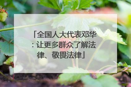 全国人大代表邓华：让更多群众了解法律、敬畏法律