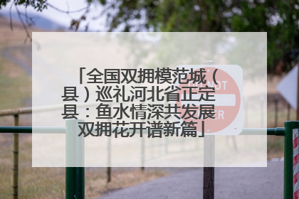 全国双拥模范城（县）巡礼河北省正定县：鱼水情深共发展 双拥花开谱新篇