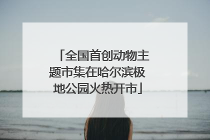 全国首创动物主题市集在哈尔滨极地公园火热开市