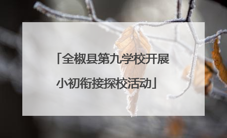 全椒县第九学校开展小初衔接探校活动