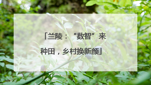 兰陵：“数智”来种田，乡村换新颜