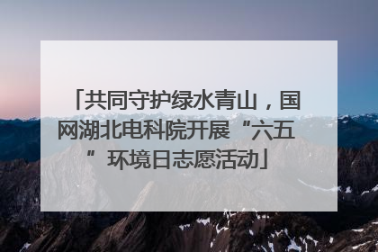 共同守护绿水青山，国网湖北电科院开展“六五”环境日志愿活动