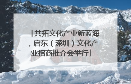 共拓文化产业新蓝海，启东（深圳）文化产业招商推介会举行