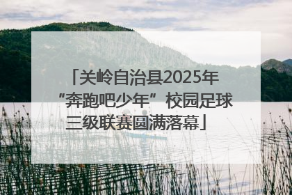 关岭自治县2025年“奔跑吧少年”校园足球三级联赛圆满落幕