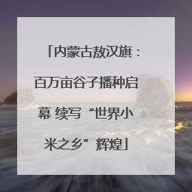 内蒙古敖汉旗：百万亩谷子播种启幕 续写“世界小米之乡”辉煌
