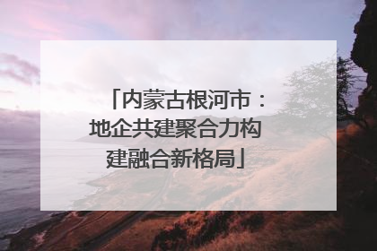 内蒙古根河市：地企共建聚合力构建融合新格局