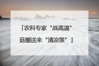 农科专家“战高温” 菇棚送来“清凉策”
