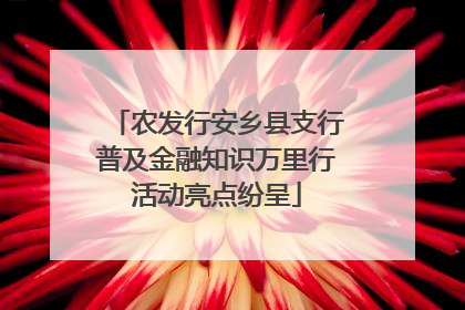 农发行安乡县支行普及金融知识万里行活动亮点纷呈