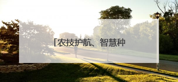 农技护航、智慧种田 三夏时节各地都在抢农时 忙耕种