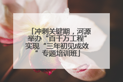 冲刺关键期，河源举办“百千万工程”实现“三年初见成效”专题培训班