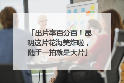 出片率百分百！昆明这片花海美炸啦，随手一拍就是大片