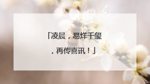 凌晨，易烊千玺，再传喜讯！