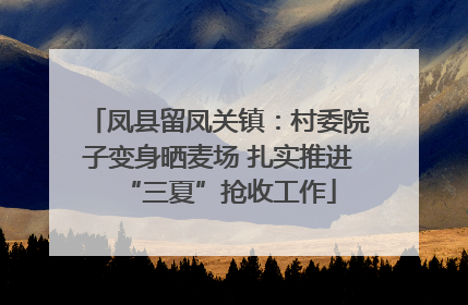 凤县留凤关镇：村委院子变身晒麦场 扎实推进“三夏”抢收工作