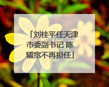 刘桂平任天津市委副书记 陈辐宽不再担任