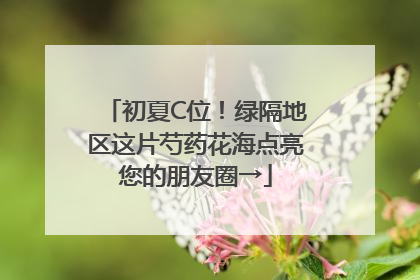 初夏C位！绿隔地区这片芍药花海点亮您的朋友圈→