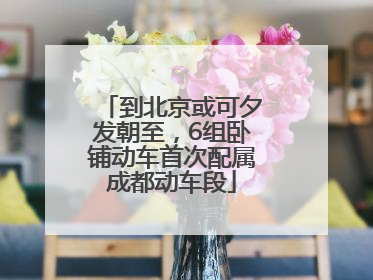 到北京或可夕发朝至，6组卧铺动车首次配属成都动车段