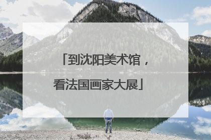 到沈阳美术馆，看法国画家大展
