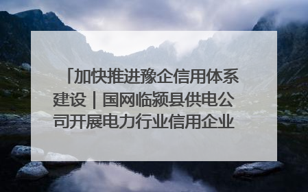 加快推进豫企信用体系建设｜国网临颍县供电公司开展电力行业信用企业现场咨询访谈工作