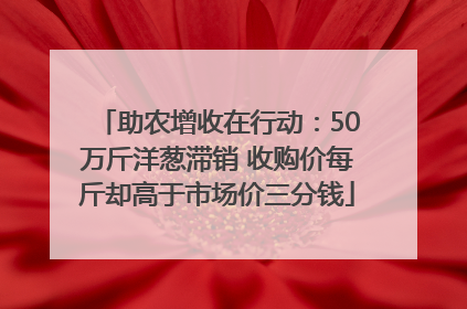 助农增收在行动：50万斤洋葱滞销 收购价每斤却高于市场价三分钱