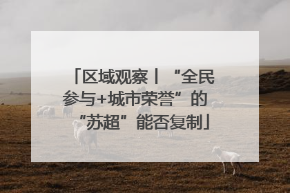 区域观察丨“全民参与+城市荣誉”的“苏超”能否复制