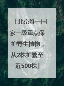 北京唯一国家一级重点保护野生植物，从2株扩繁至近500株