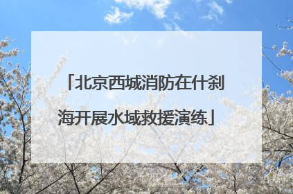 北京西城消防在什刹海开展水域救援演练