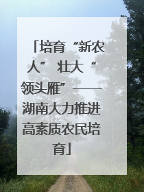 培育“新农人” 壮大“领头雁”——湖南大力推进高素质农民培育