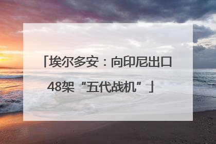 埃尔多安：向印尼出口48架“五代战机”