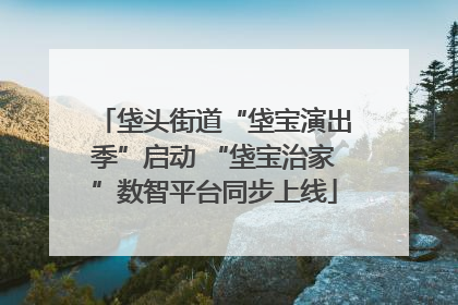 垡头街道“垡宝演出季”启动 “垡宝治家”数智平台同步上线