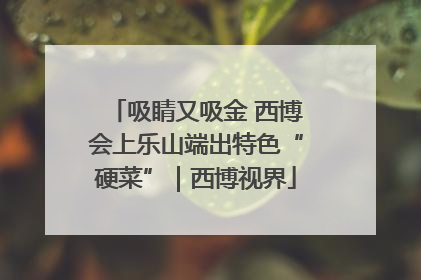吸睛又吸金 西博会上乐山端出特色“硬菜”｜西博视界
