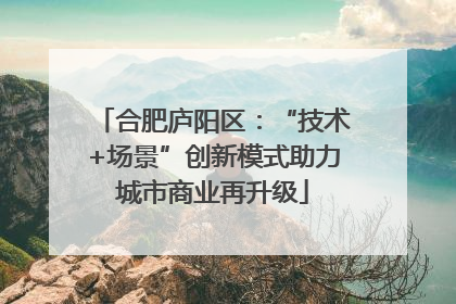 合肥庐阳区：“技术+场景”创新模式助力城市商业再升级