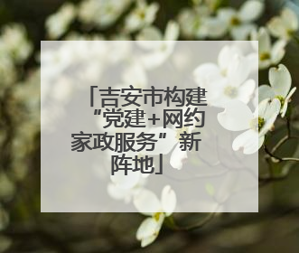 吉安市构建“党建+网约家政服务”新阵地