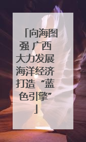 向海图强 广西大力发展海洋经济打造“蓝色引擎”