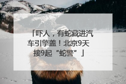 吓人，有蛇藏进汽车引擎盖！北京9天接9起“蛇警”