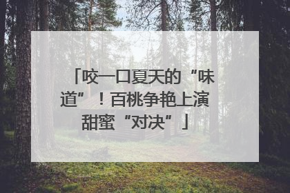 咬一口夏天的“味道”！百桃争艳上演甜蜜“对决”