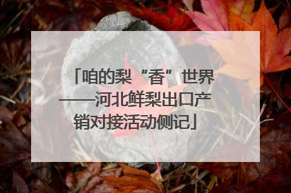 咱的梨“香”世界——河北鲜梨出口产销对接活动侧记