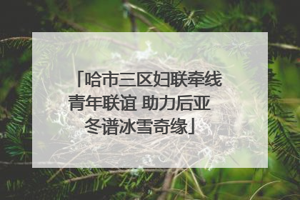 哈市三区妇联牵线青年联谊 助力后亚冬谱冰雪奇缘