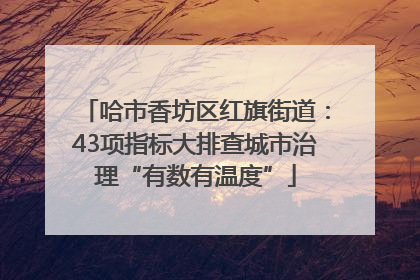 哈市香坊区红旗街道：43项指标大排查城市治理“有数有温度”