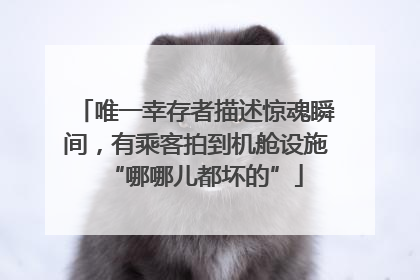 唯一幸存者描述惊魂瞬间，有乘客拍到机舱设施“哪哪儿都坏的”