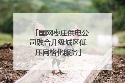 国网枣庄供电公司融合升级城区低压网格化服务