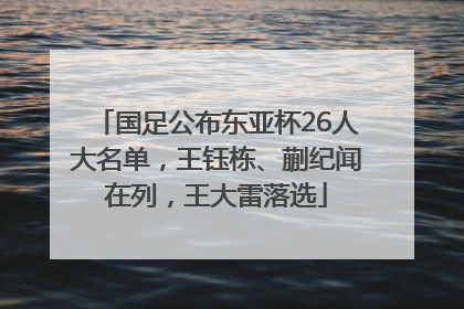 国足公布东亚杯26人大名单，王钰栋、蒯纪闻在列，王大雷落选