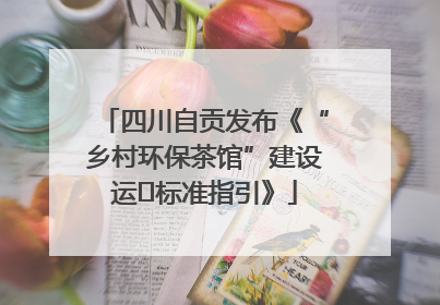 四川自贡发布《“乡村环保茶馆”建设运⾏标准指引》