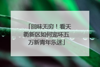 回味无穷！看天衢新区如何宠坏五万新青年乐迷
