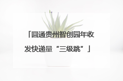 圆通贵州智创园年收发快递量“三级跳”